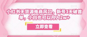 众狼电商余文小红书无货源电商风口,新号3天破首单,小白也可以月入2w+-风淘社