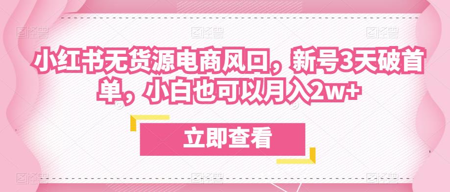 众狼电商余文小红书无货源电商风口,新号3天破首单,小白也可以月入2w+-风淘社