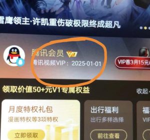 外面收费88撸腾讯会员2年，号称百分百成功，具体自测【操作教程】-风淘社