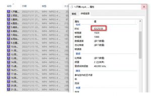 虚拟资源全自动成交系统,从0到1保姆级详细教程-风淘社