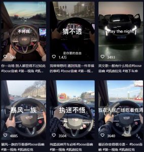 抖音开车视频项目,0基础操作,每天五分钟,月入1W+【揭秘】-风淘社