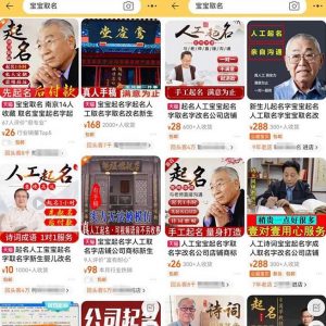拆解小红书宝宝起名虚拟副业项目，一条龙实操玩法分享给你（教程+软件）-风淘社