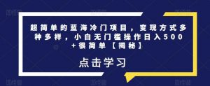 超简单的蓝海冷门项目，变现方式多种多样，小白无门槛操作日入500+很简单【揭秘】-风淘社