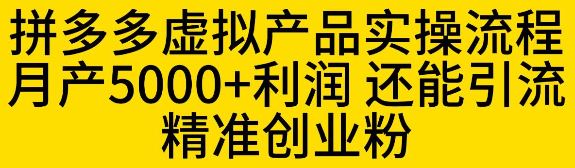 拼多多虚拟产品实操流程，月产5000+利润，还能引流精准创业粉【揭秘】-风淘社