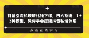 抖音引流私域转化线下课，四大系统，13种模型，教你学会搭建抖音私域体系-风淘社
