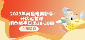 2023年闲鱼电商新手开店运营课:闲鱼新手日出20-30单(18节-实战干货)-风淘社