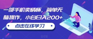 一部手机卖情怀,简单无脑操作,小白日入200+【揭秘】-风淘社