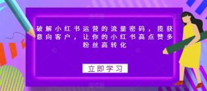 破解小红书运营的流量密码,揽获意向客户,让你的小红书高点赞多粉丝高转化-风淘社