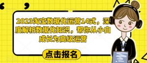 2023淘宝数据化运营14式,深度解析数据化知识,帮你从小白成长为高级运营-风淘社