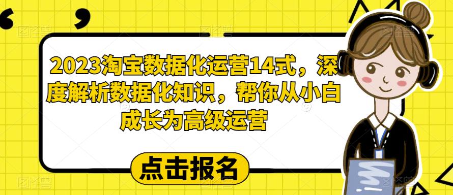 2023淘宝数据化运营14式，深度解析数据化知识，帮你从小白成长为高级运营-风淘社
