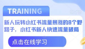 新人玩转小红书流量暴涨的8个野路子，小红书新人快速流量破局-风淘社