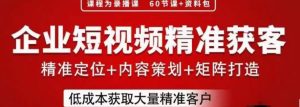 流量为王,企业短视频精准获客,手把手分享实战经验,助力企业低成本获客-风淘社