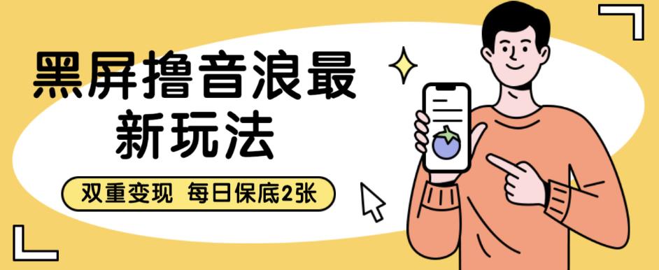 黑屏撸音浪最新玩法，双重变现，每日保底2张【揭秘】-风淘社