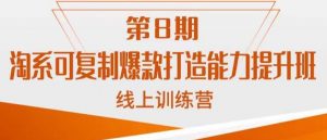 淘系可复制爆款打造能力提升班,这是一套可复制的打爆款标准化流程-风淘社