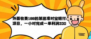 外面收费188的美团准时宝赔付项目，一小时完成一单利润200【仅揭秘】-风淘社
