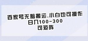 百家号无脑搬运,小白也可操作,日入100-300,可矩阵【仅揭秘】-风淘社