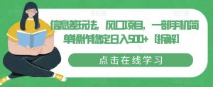 信息差玩法,风口项目,一部手机简单操作稳定日入500+【拆解】-风淘社