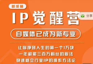 树成林·IP觉醒营，快速树立行业IP的操作方法论，让你赚到人生的第一个1万块-风淘社