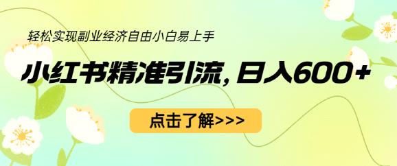 小红书精准引流，小白日入600+，轻松实现副业经济自由（教程+1153G资源）-风淘社