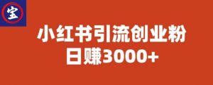宝哥小红书引流创业粉,日赚3000+【揭秘】-风淘社