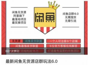 闲鱼无货源店群玩法6.0,无需囤货,无需引流,两个月盈利18W的核心秘籍,所有细节一清二楚-风淘社