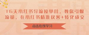 16天小红书导流接单营,教你引爆流量,在小红书精准获客+转化成交-风淘社