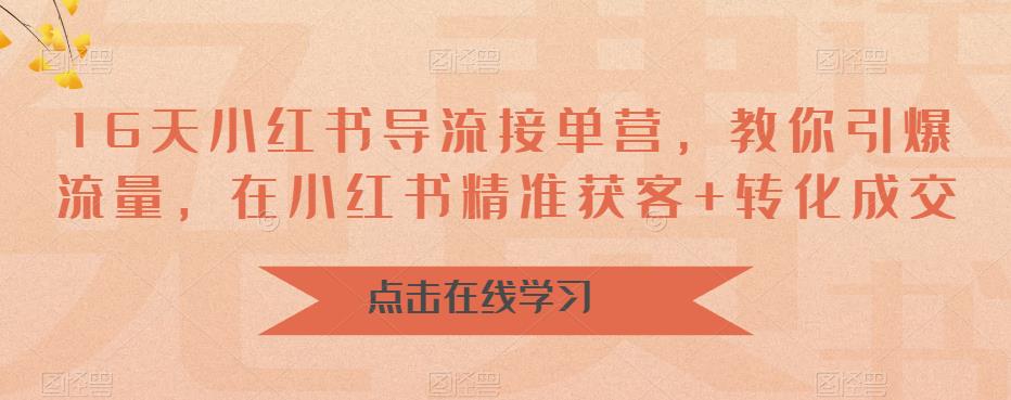 16天小红书导流接单营,教你引爆流量,在小红书精准获客+转化成交-风淘社