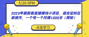 2023年最新看直播赚钱小项目,适合宝妈在家操作,一个号一个月赚1000多(揭秘)-风淘社