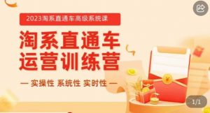 冠东·2023淘系直通车高级系统课,实操性,系统性,实时性,直通车完整体系教学-风淘社