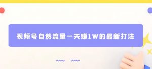 视频号自然流量一天赚1W的最新打法，基本0投资【揭秘】-风淘社