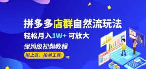 拼多多店群自然流玩法,轻松月入1W+保姆级视频教程(附上货、拍单工具)-风淘社