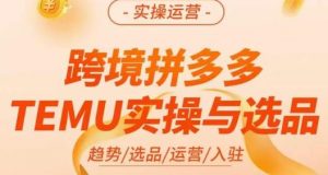 伍跃·跨境拼多多TEMU实操与选品,趋势/选品/运营/入住(27节完整)-风淘社