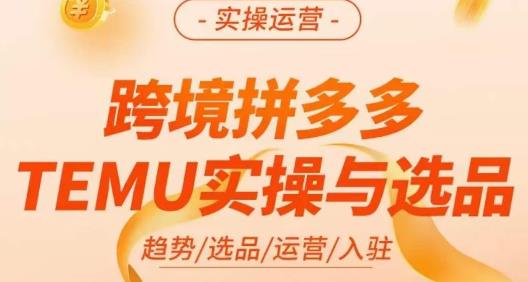 伍跃·跨境拼多多TEMU实操与选品，​趋势/选品/运营/入住（27节完整）-风淘社