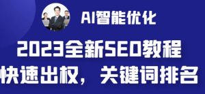 2023最新网站AI智能优化SEO教程,简单快速出权重,AI自动写文章+AI绘画配图-风淘社