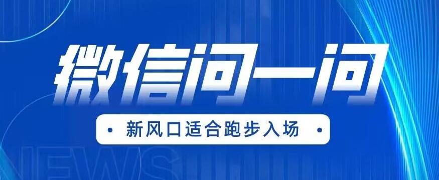全网首发微信问一问新风口变现项目(价值1999元)【揭秘】-风淘社