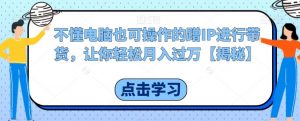 不懂电脑也可操作的蹭IP进行带货，让你轻松月入过万【揭秘】-风淘社