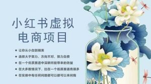 小红书虚拟电商从0到1，让你从小白到精英（20节实操课程）-风淘社