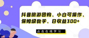 抖音旅游团购，小白可操作，保姆级教学，日收益300+【揭秘】-风淘社