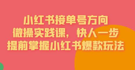 接单号方向·小红书微操实践课,快人一步,提前掌握小红书爆款玩法-风淘社