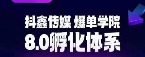 抖鑫传媒-爆单学院8.0孵化体系,让80%以上达人都能运营一个稳定变现的账号,操作简单,一部手机就能做-风淘社