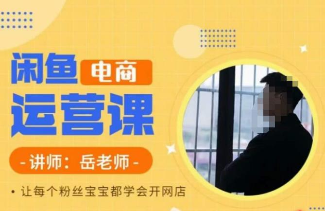 岳老师·闲鱼电商运营课，让每个粉丝宝宝都学会开网店-风淘社