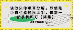 漫改头像项目分解,即使是小白也能轻松上手,仅需一部手机即可【揭秘】-风淘社