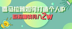 喜马拉雅如何打造个人IP,吸粉赚钱月入2W【揭秘】-风淘社