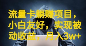 流量卡躺赚项目，小白友好，开设后台，实现被动收益，只要出卡，就能一直赚钱，利润高昂【揭秘】-风淘社