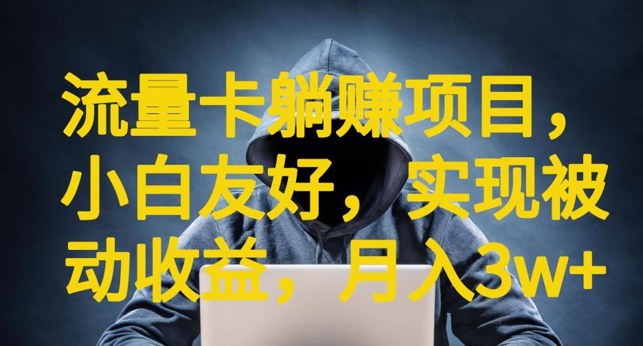 流量卡躺赚项目,小白友好,开设后台,实现被动收益,只要出卡,就能一直赚钱,利润高昂【揭秘】-风淘社