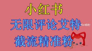 小红书无限评论艾特截流精准粉（软件+教程）-风淘社