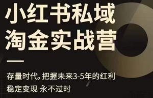小红书私域淘金实战营,存量时代,把握未来3-5年的红利-风淘社