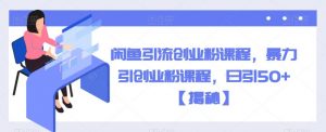 闲鱼引流创业粉课程，暴力引创业粉课程，日引50+【揭秘】-风淘社