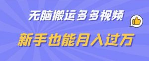 无脑搬运多多视频,新手也能月入过万【揭秘】-风淘社