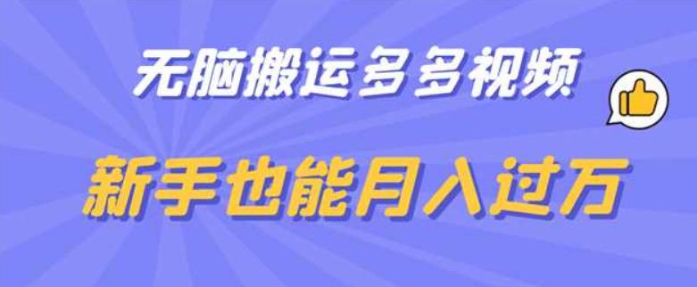 无脑搬运多多视频,新手也能月入过万【揭秘】-风淘社